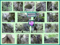 Hohe Wand  2016